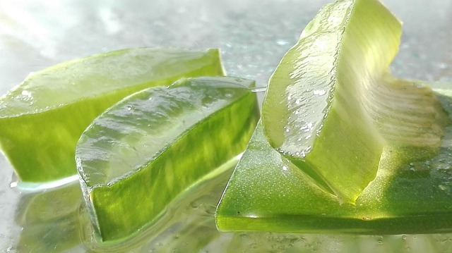 Aloe Vera Food