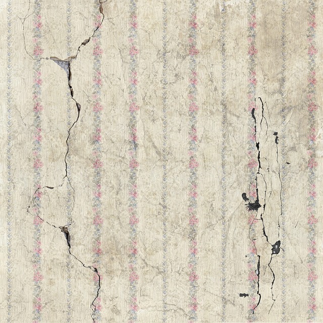 Soft Drywall Water Damage Mold