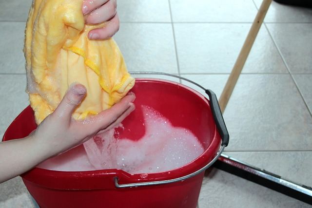 Bucket Of Soapy Water