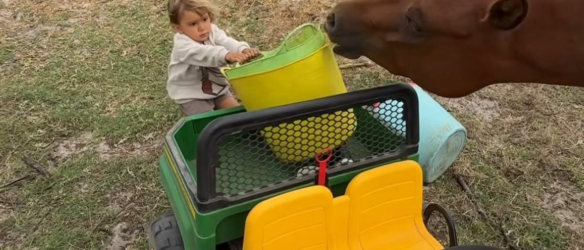 Adorable Video Brightens Viewers’ Day: “What Do You Need a Brother For Beside Such a Horse?”