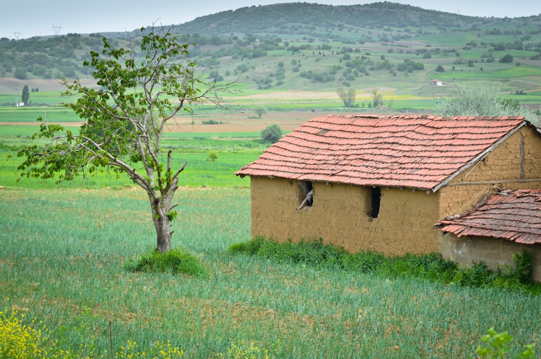 Couple Discussing Living Arrangements Home Features Urban Rural Environment