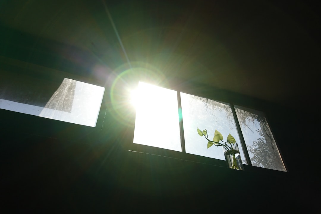 Morning Sunlight Exposure Mental Health Self-care