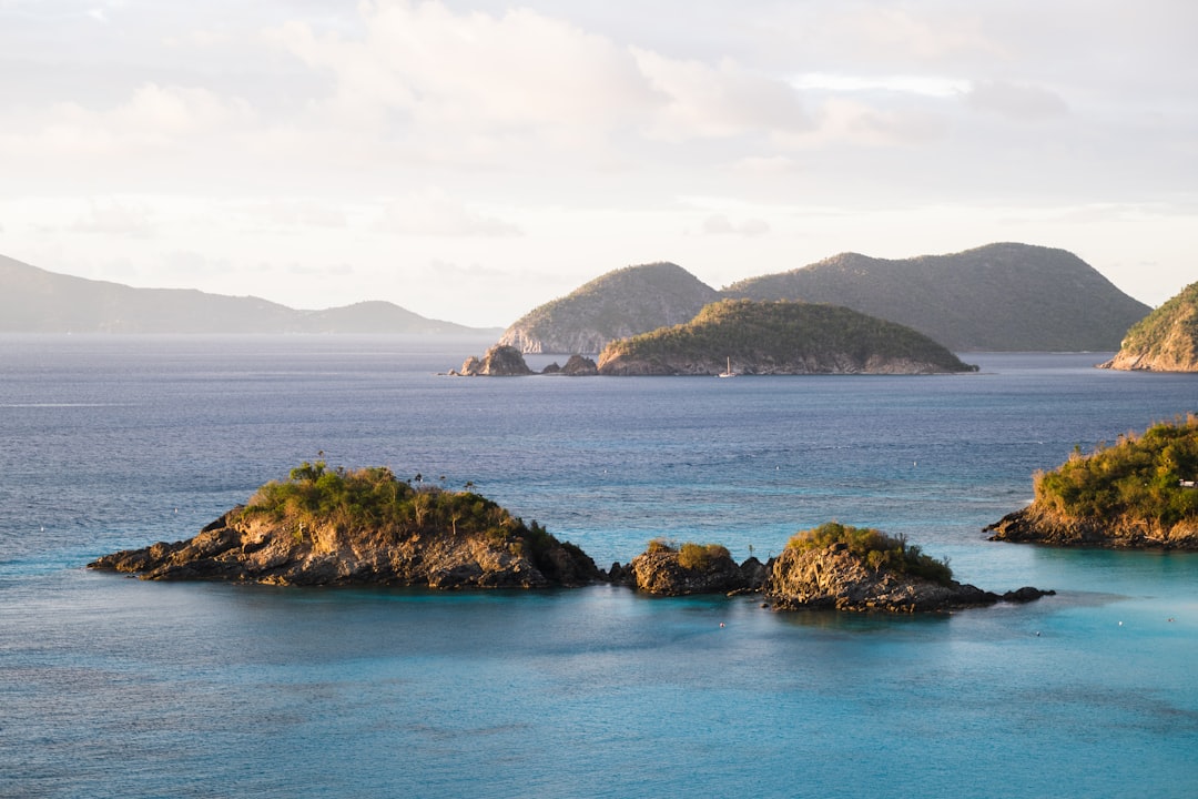 Trunk Bay Virgin Islands Snorkeling Clear Water Tropical Foliage