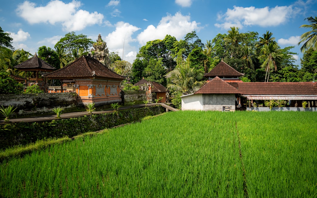 Bali Honeymoon Destinations Rice Paddies Temples Luxury Resorts