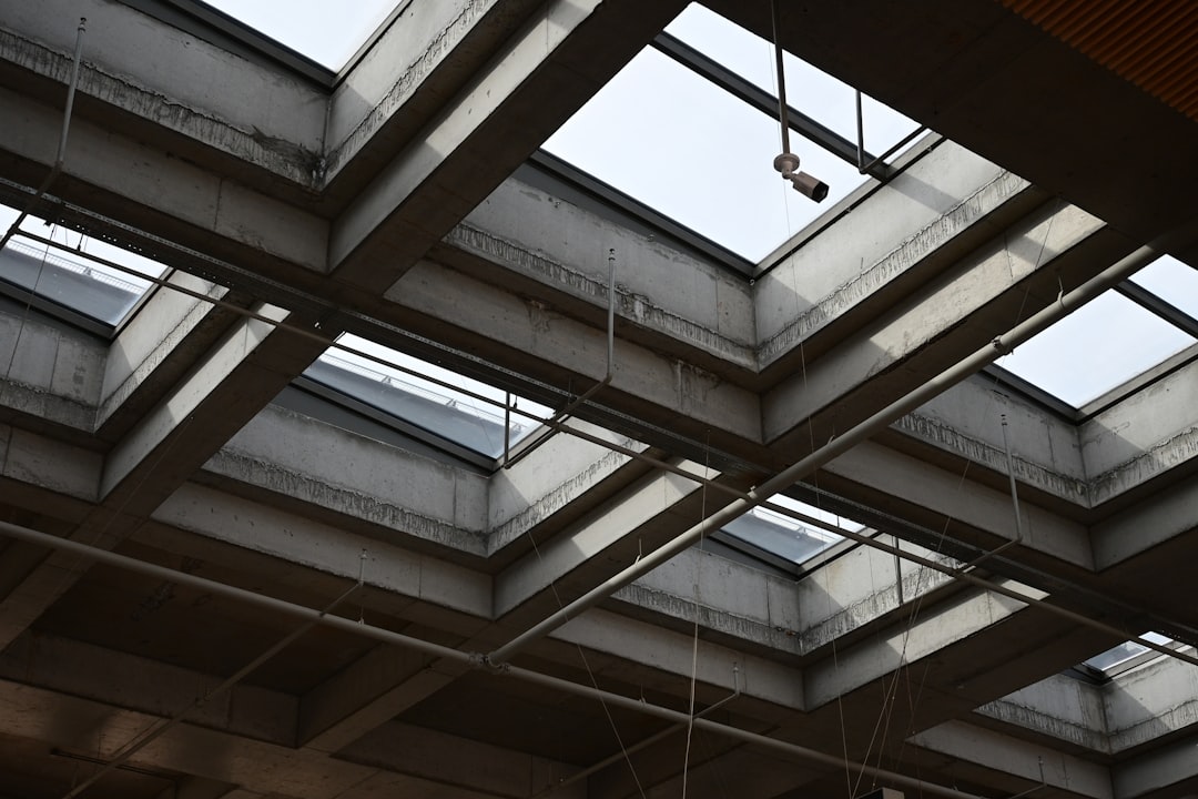 Industrial Loft Tiny House Design Exposed Piping Metal Conduit Concrete Surfaces High Ceilings Mezzanine Factory-style Windows