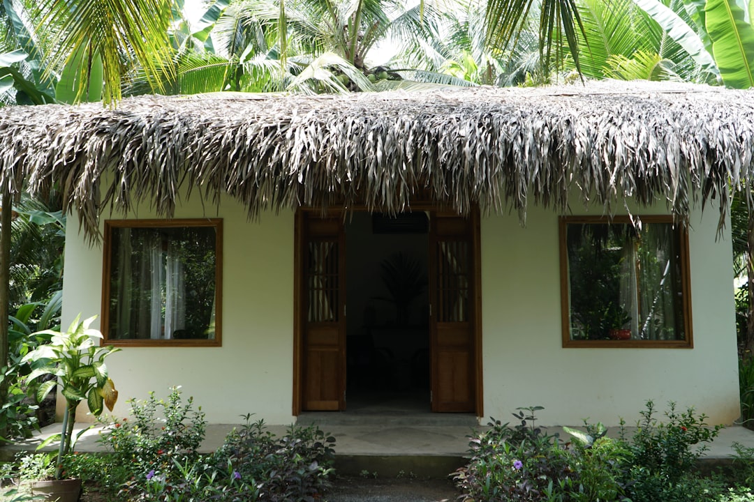 Tropical Bungalow Tiny House Design With Wide Roof Overhangs And Louvered Windows