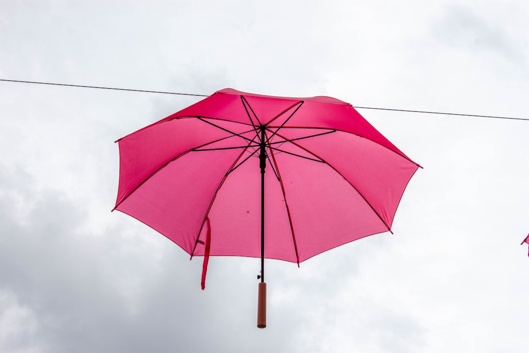 Stylish Stick Umbrella With Wooden Handle