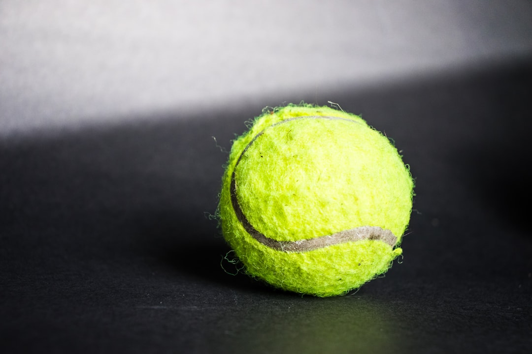 Tennis Balls In Dryer Cleaning Hack