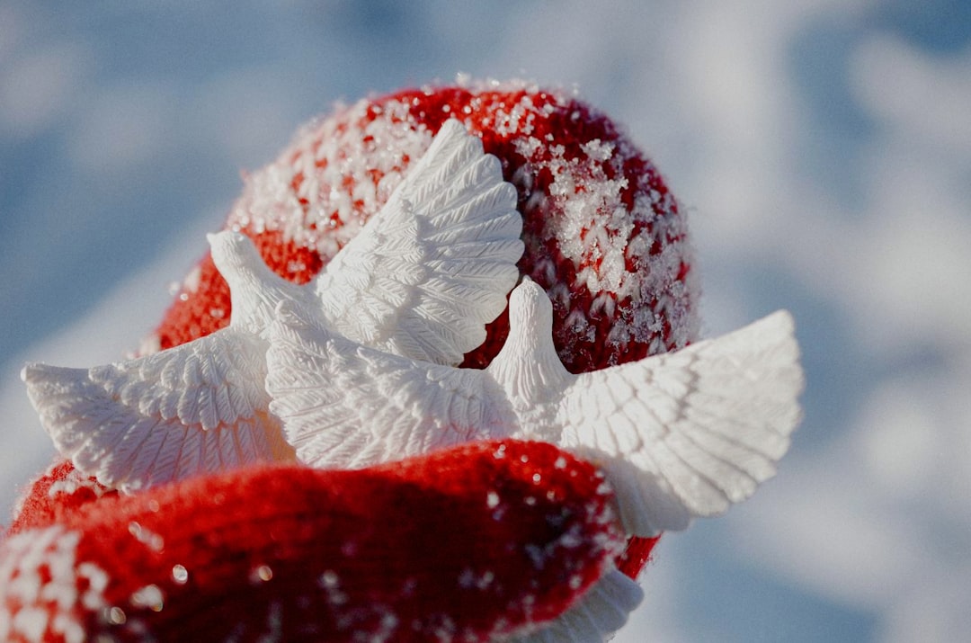 Fingerless Gloves With Mitten Flap Winter Fashion