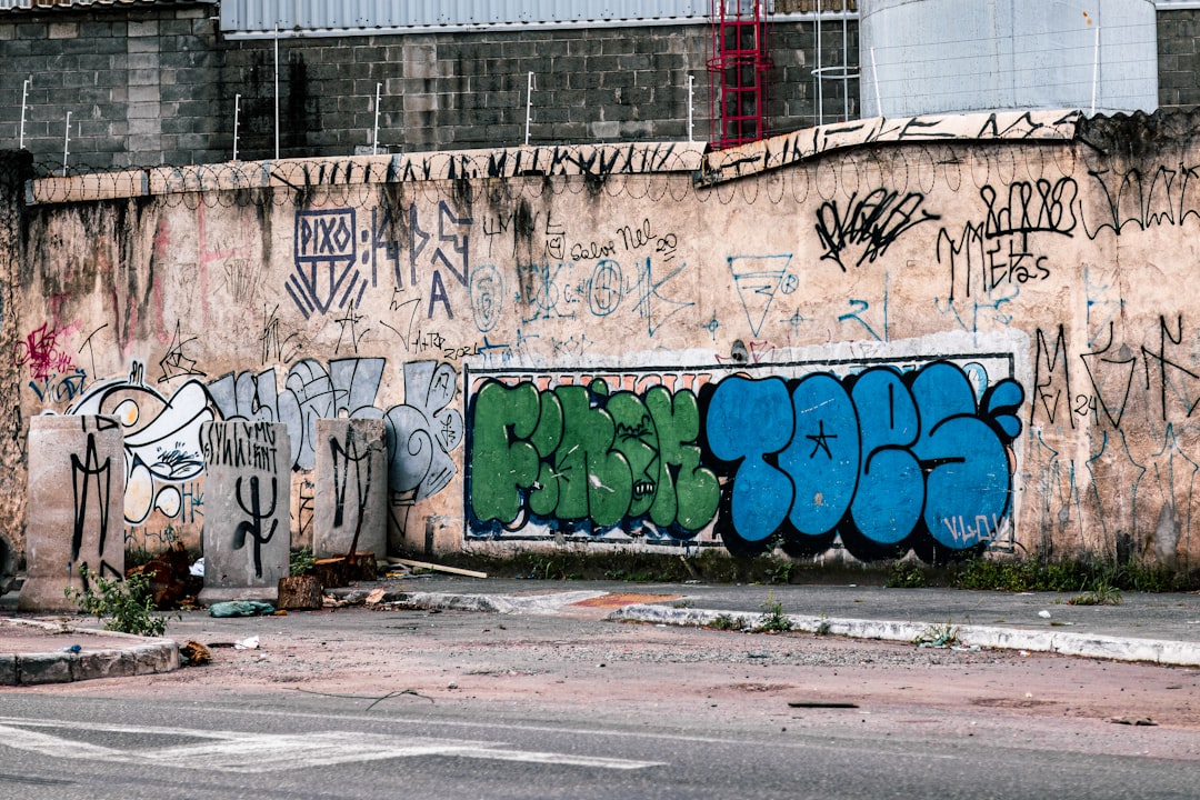 Nelson Mandela Bay Crime Violence Urban Landscape