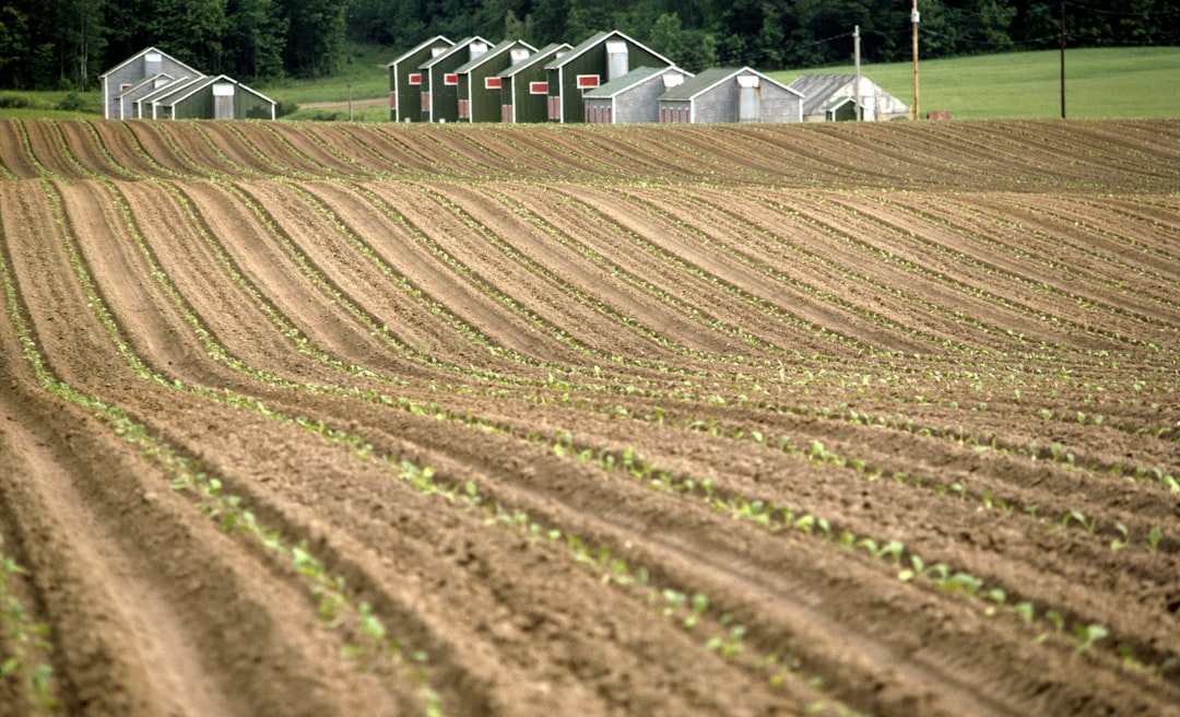 Farmland Investment Crowdfunding Agriculture