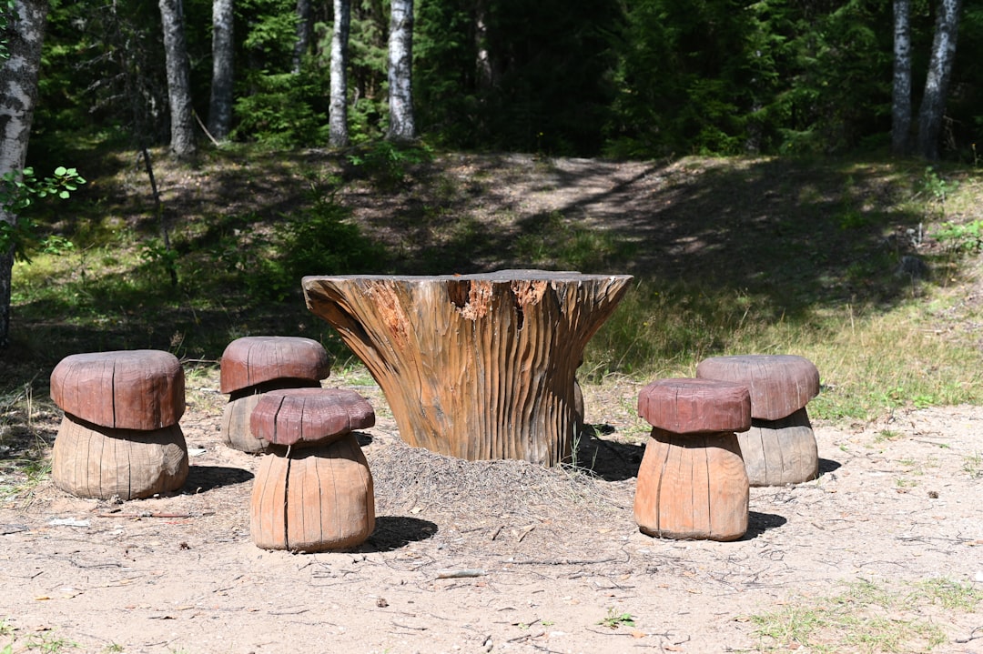 Tree Stump Side Tables Rustic Outdoor Furniture