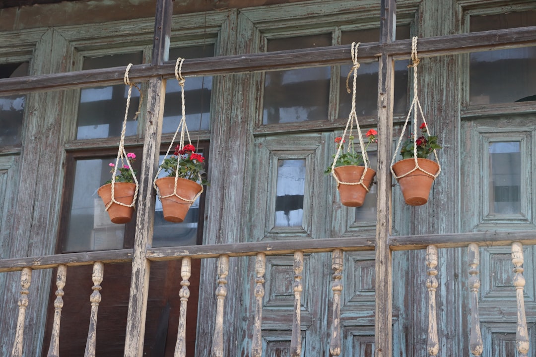 Vintage Metal Colander Hanging Baskets Planters