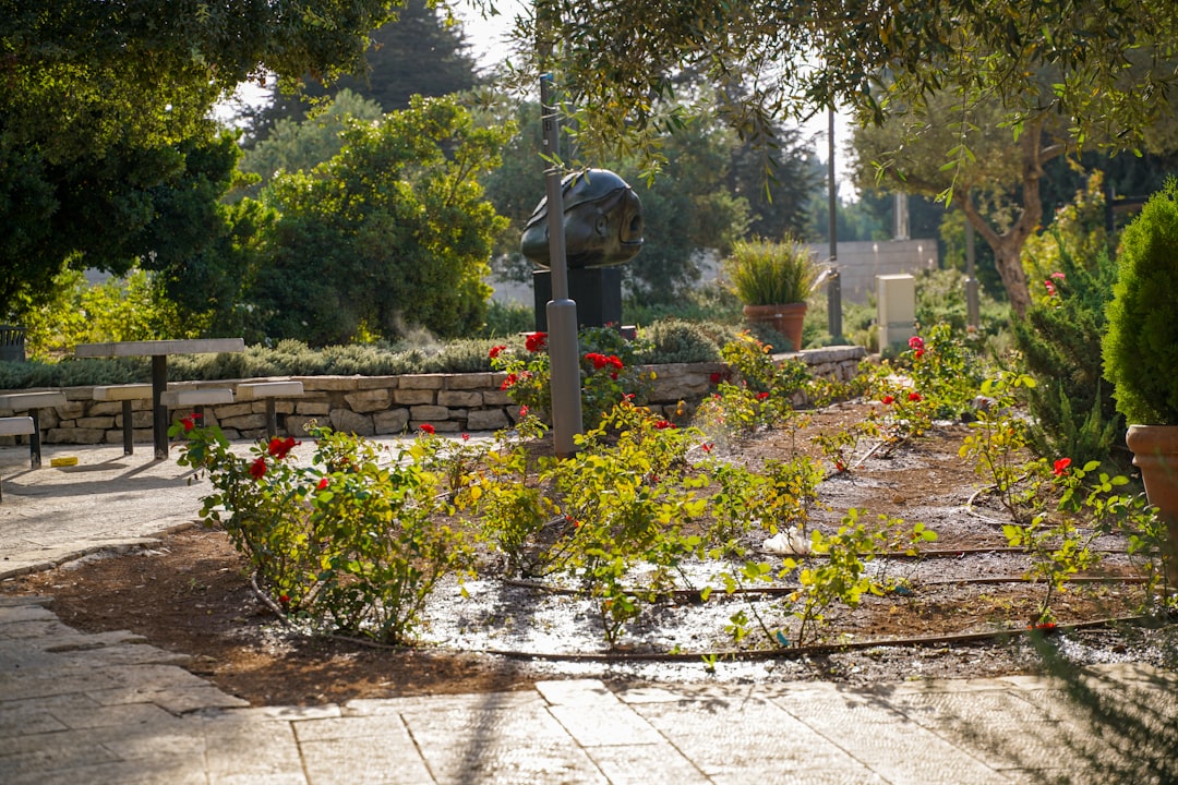 DIY Rain Barrel Garden System