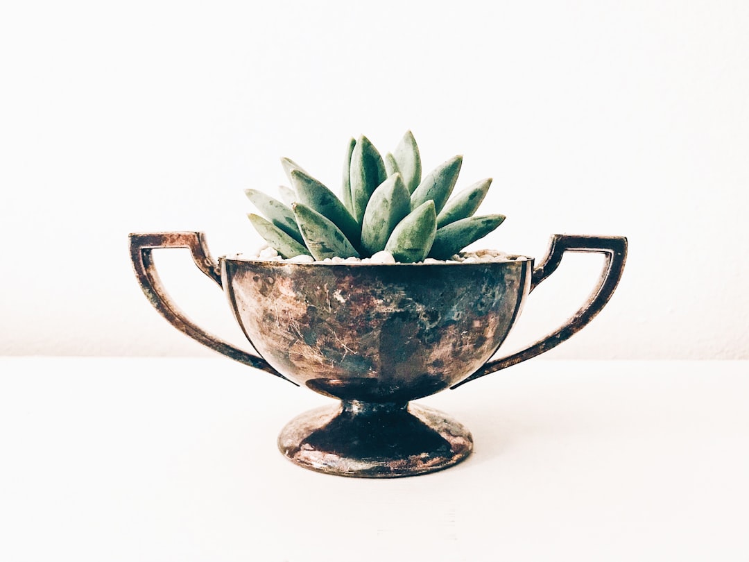 Tea Cup Succulents Garden Decor
