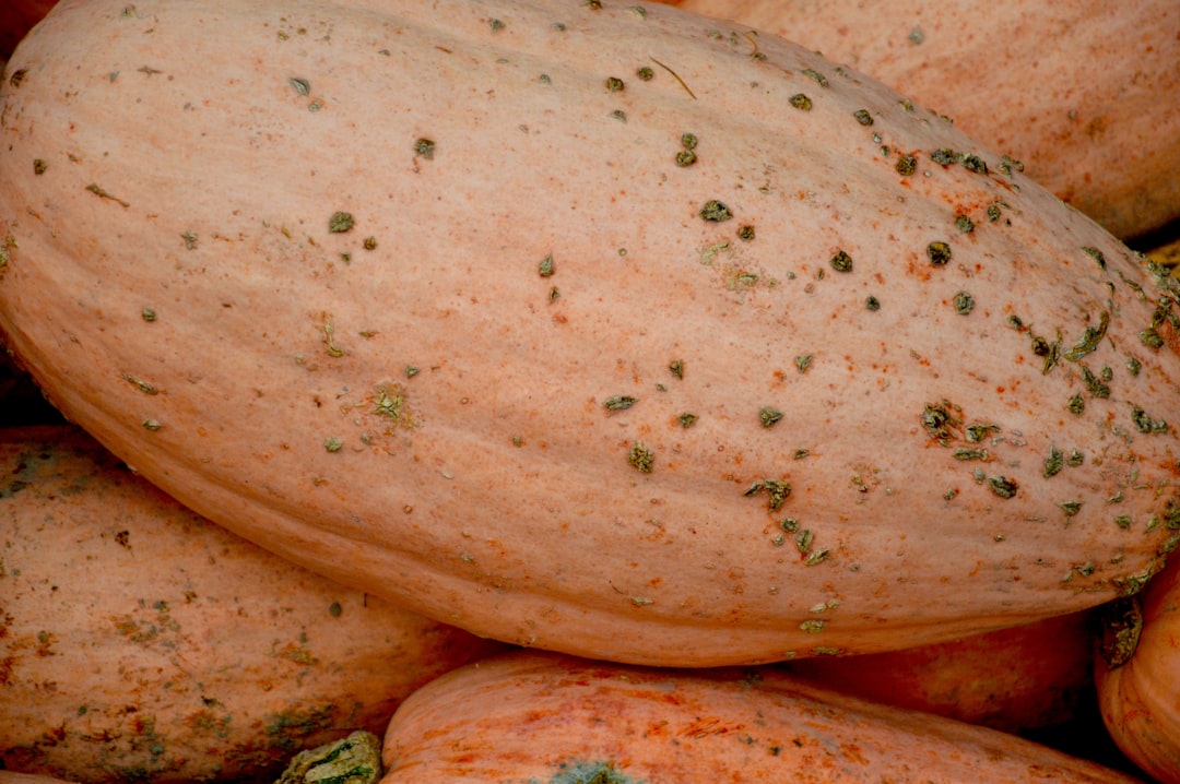 Pumpkin Seed Quinoa Burgers High Protein