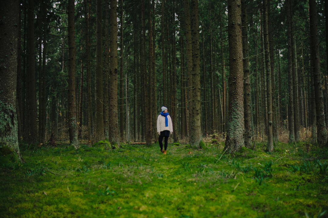 Introverts Overstimulation Calm Environments