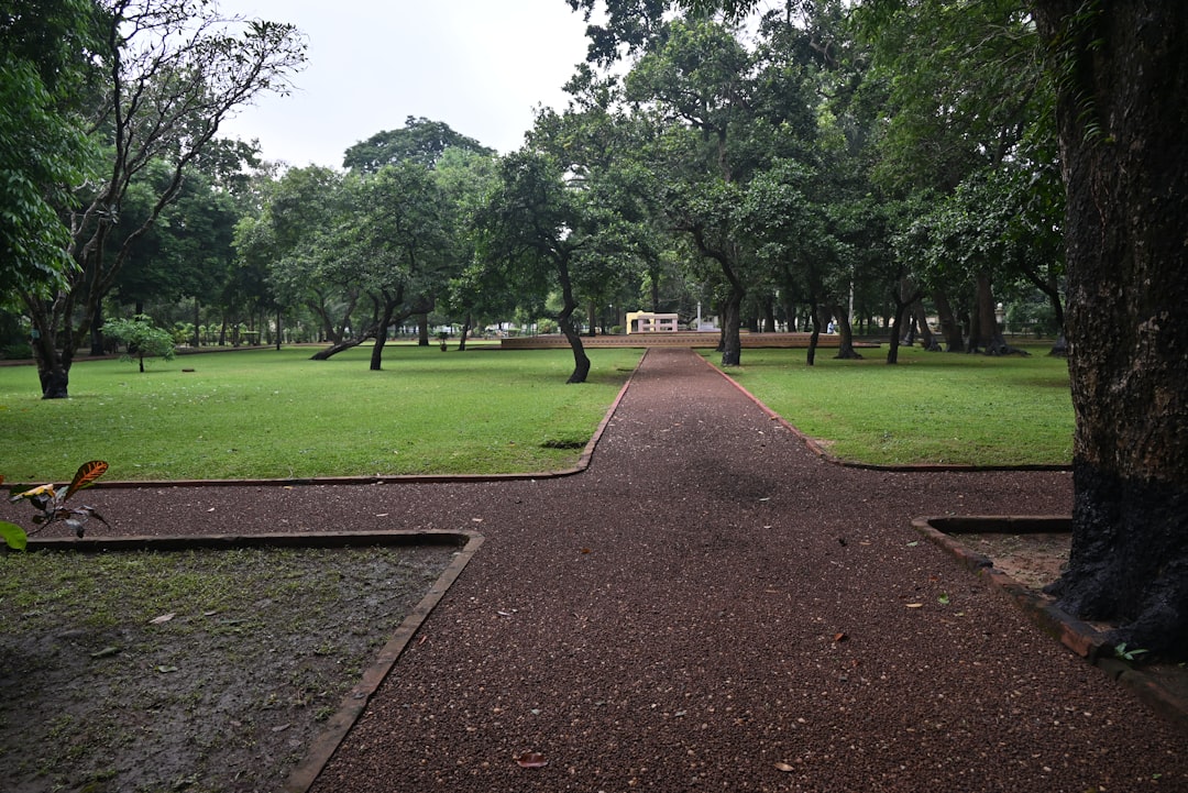 Botanical Garden Peaceful Nature Walk