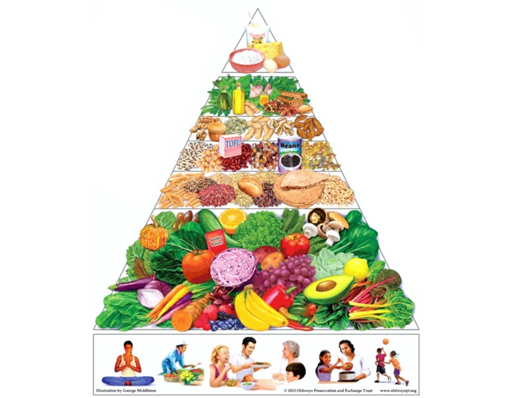 Vegan Diets For Children Nutrition