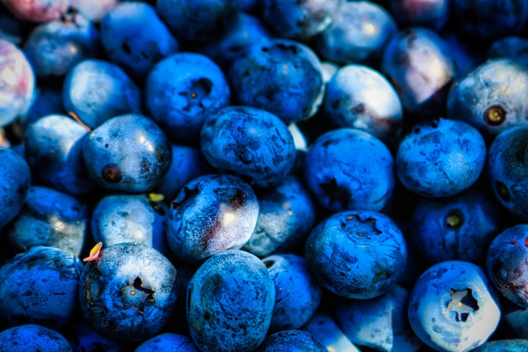 Blueberries Superfood Antioxidants Heart Health Brain Function