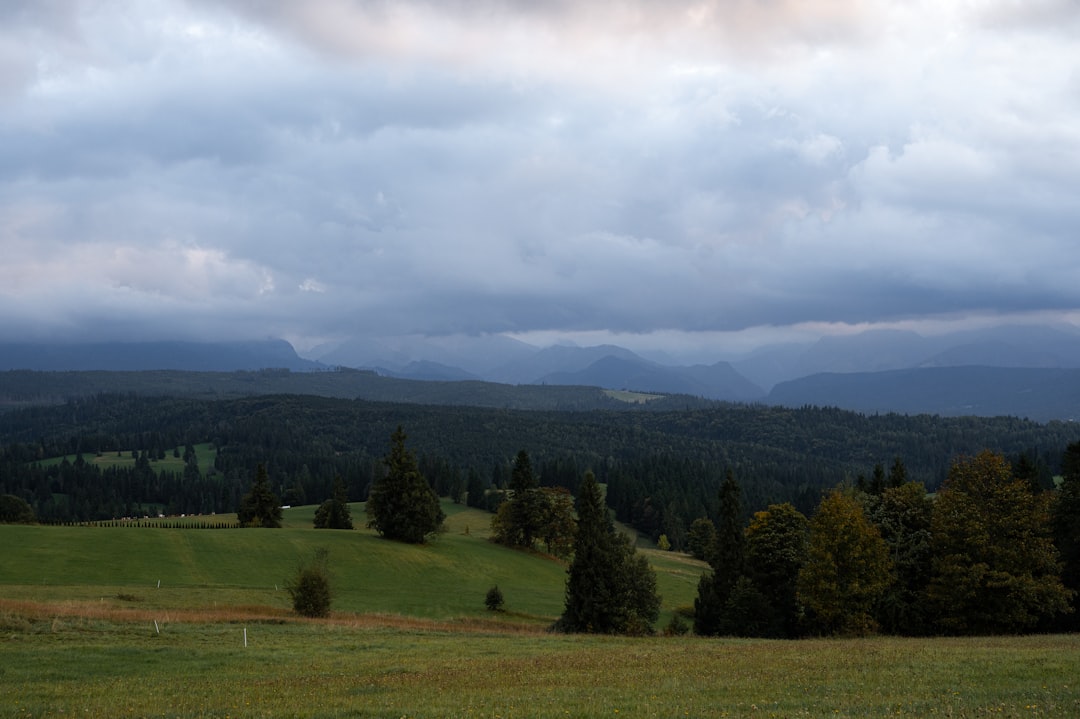Horse Peripheral Vision Panoramic View
