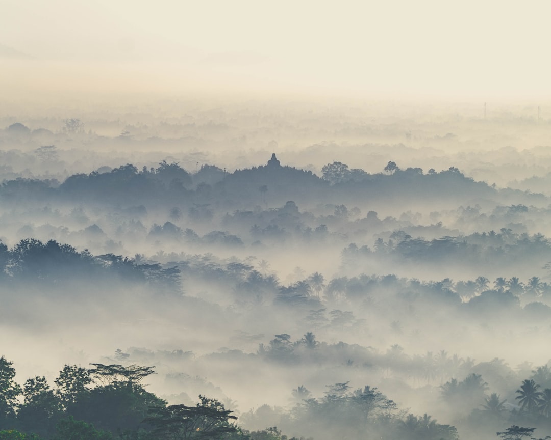 Borobudur Temple Sunrise View