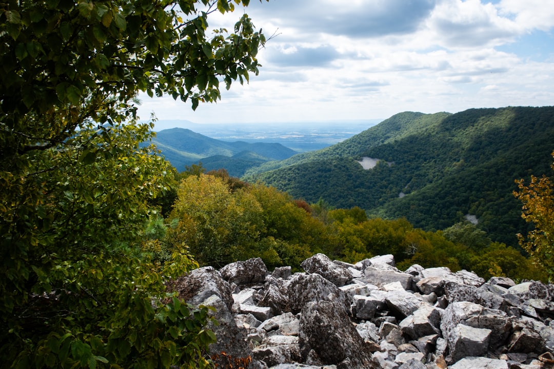 Shenandoah National Park Hiking Trails Waterfalls Fall Foliage Blue Ridge Mountains