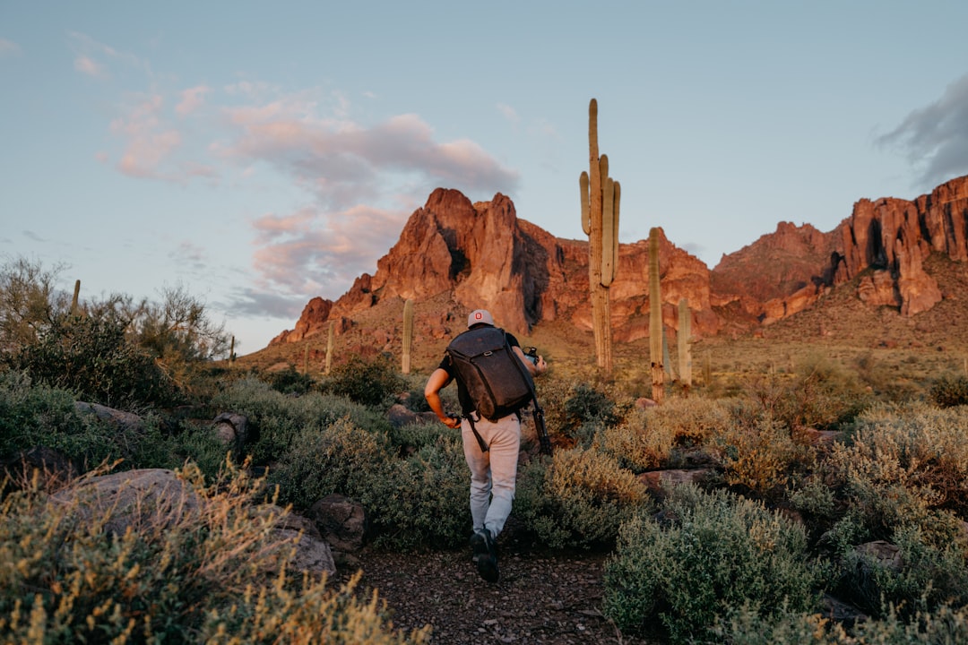 Saguaro Cactus Sunset Hiking Arizona