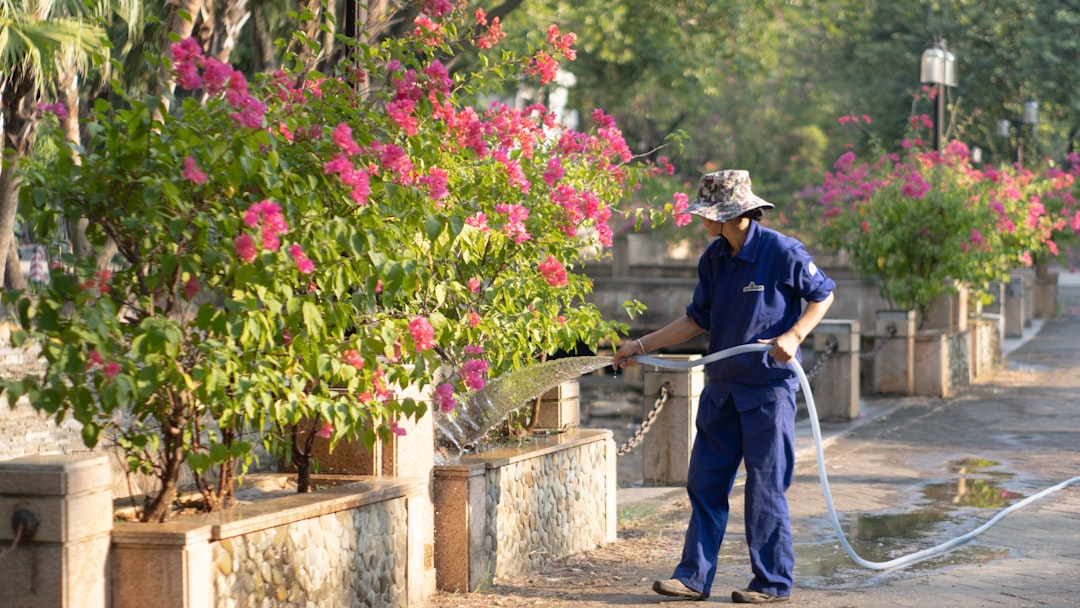 Pruning Shrubs Curb Appeal Landscaping Maintenance
