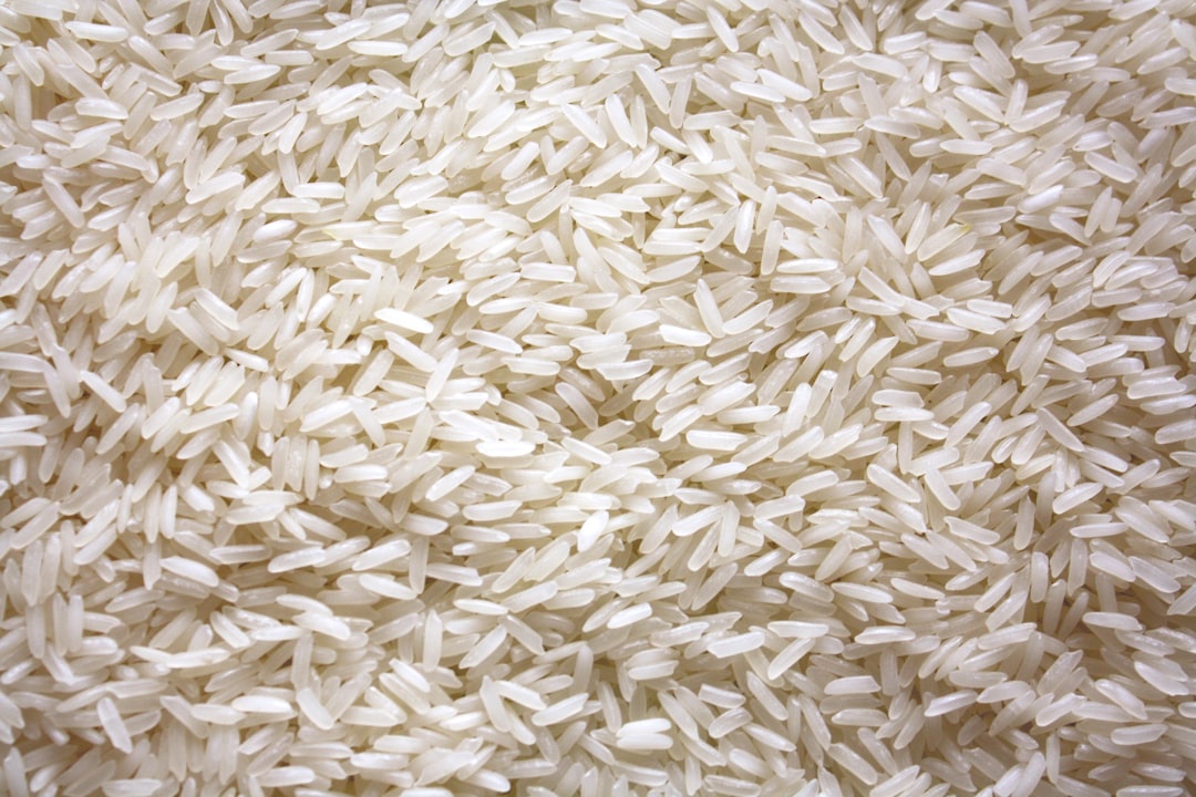 White Rice Energy Levels Drowsiness