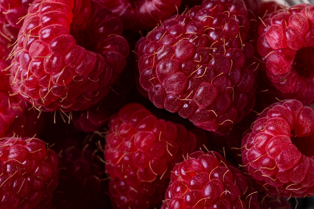 Raspberries Salicylates Migraine Headache