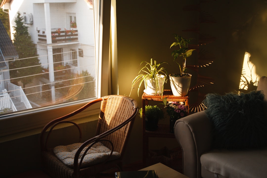 Sunrise House Plants