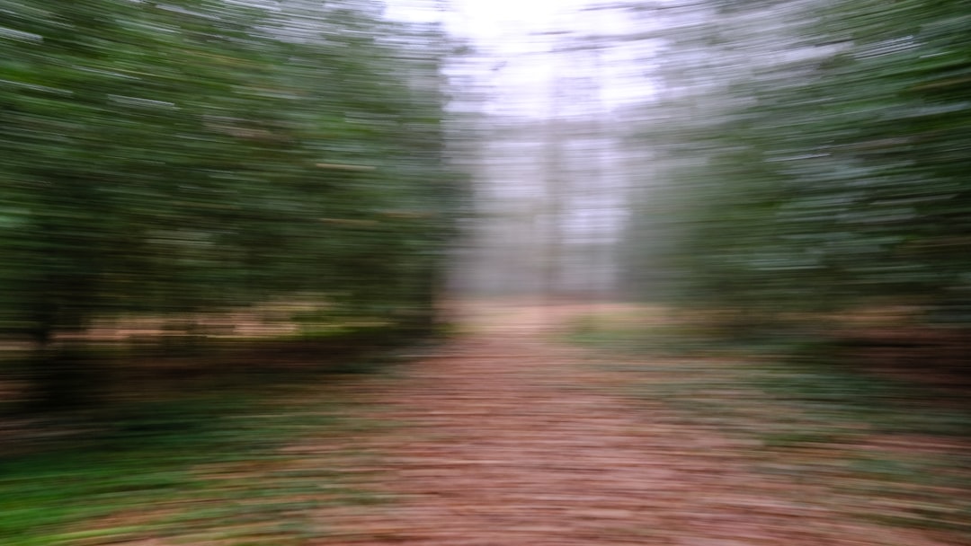 Blurred Future Path