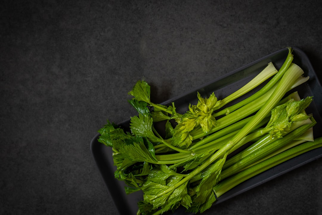 Celery Food