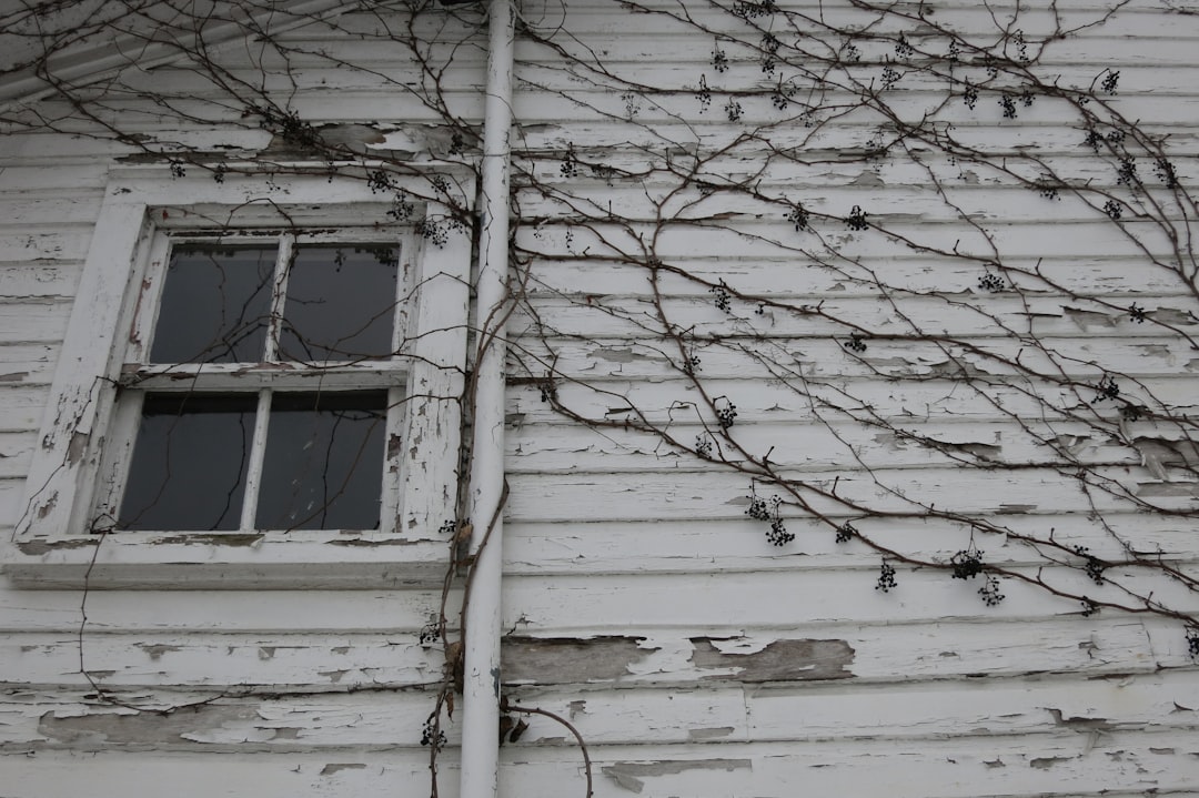 Peeling Paint House