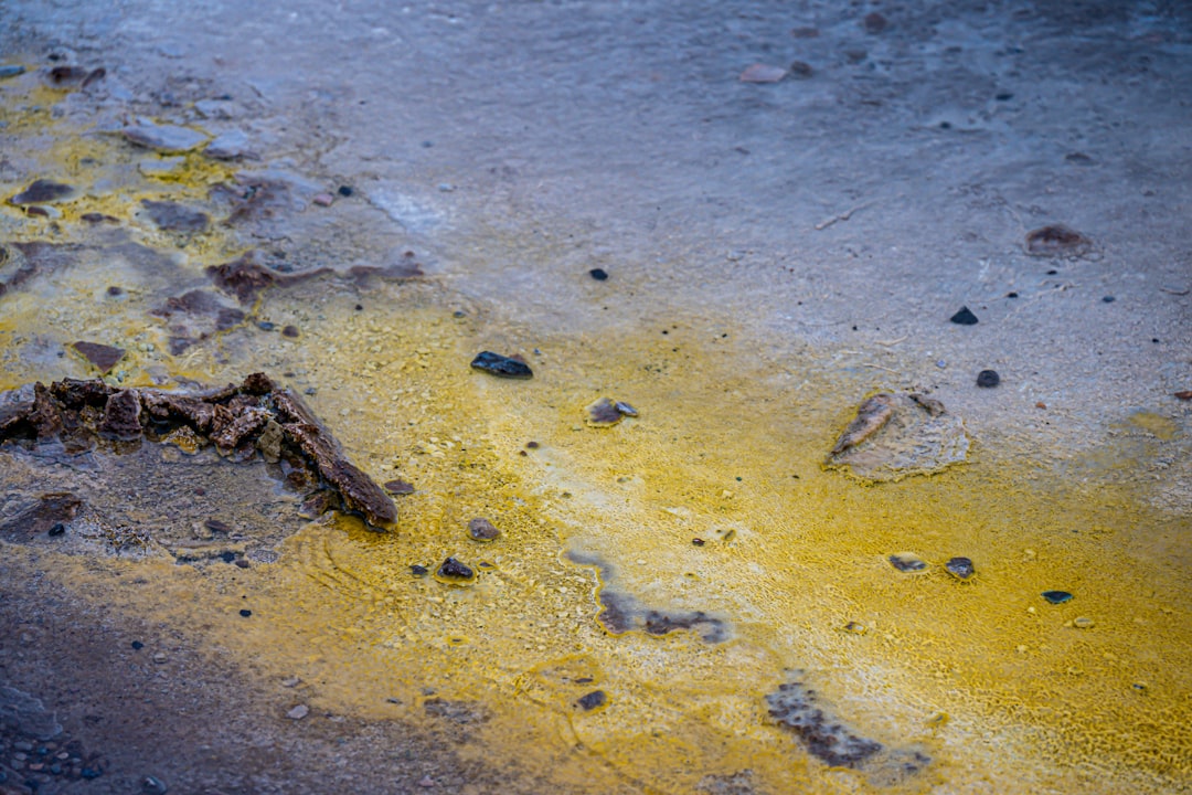 Oil Stains Car Oil Change