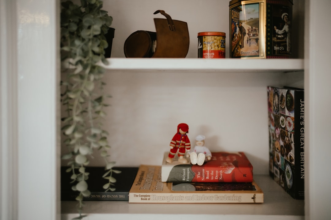 Bookshelf Christmas Gifts