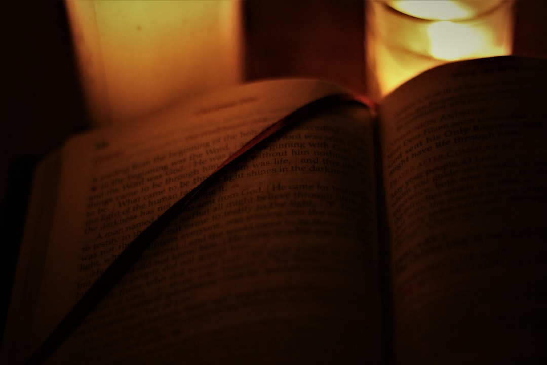 Dimly Lit Book