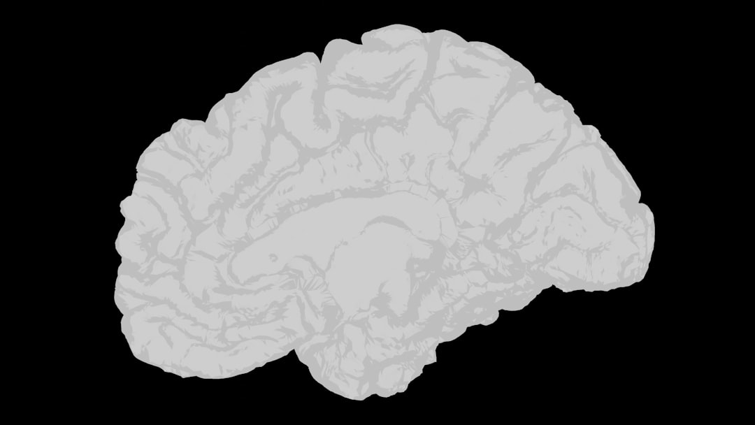 Brain Hemisphere Illustration