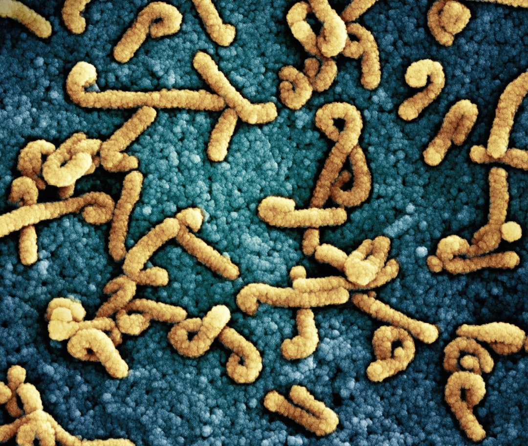 Healthy Gut Bacteria
