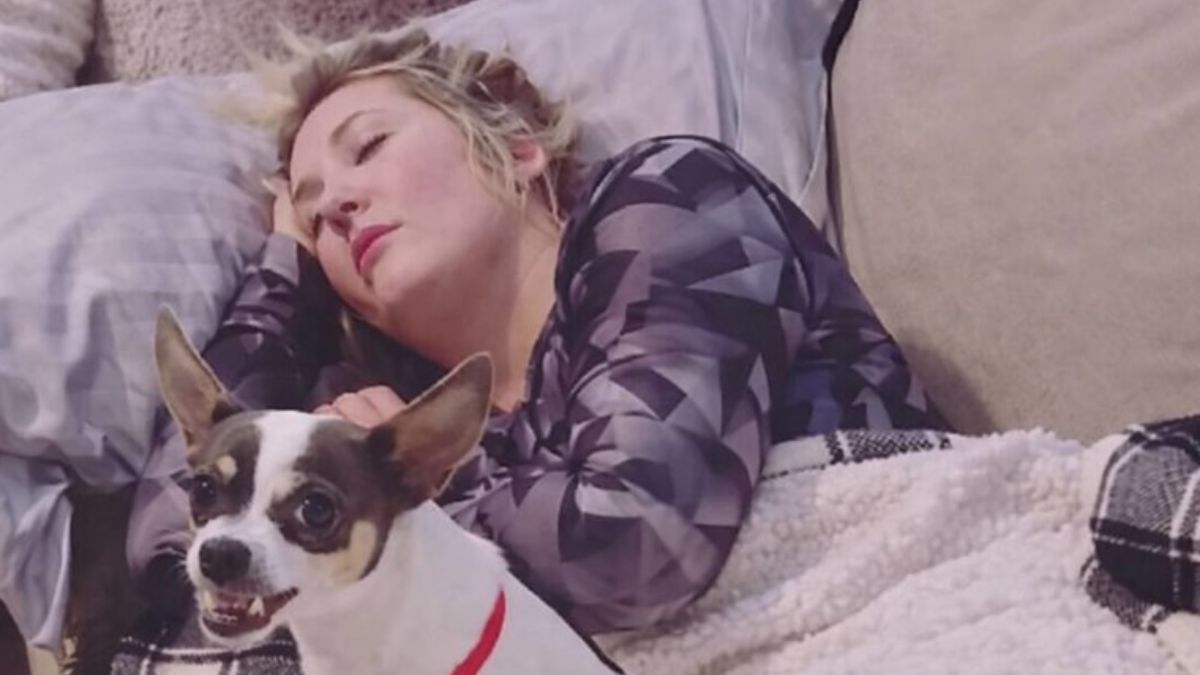 When a Husband Tried to Film His Sleeping Wife a Tiny Rat Terrier Stepped In and the Video Went Viral