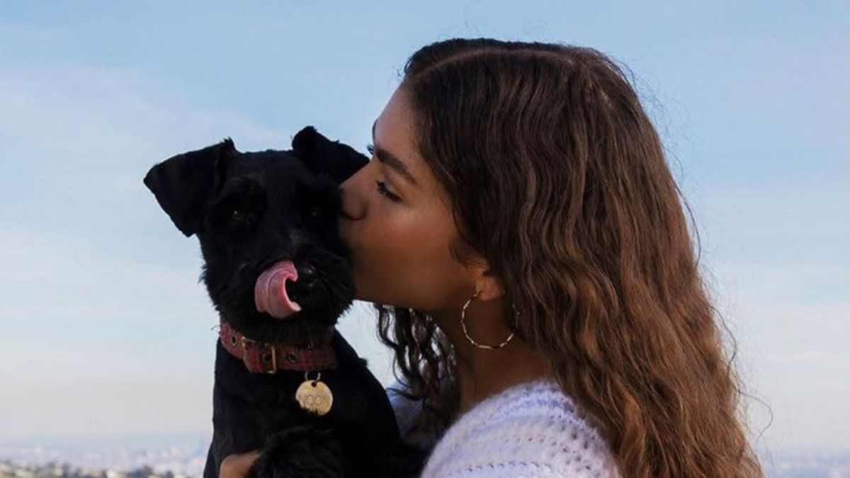Zendaya Opens Up About Her Dog’s Lavish Lifestyle: “It’s the Craziest Hollywood Thing About Me”