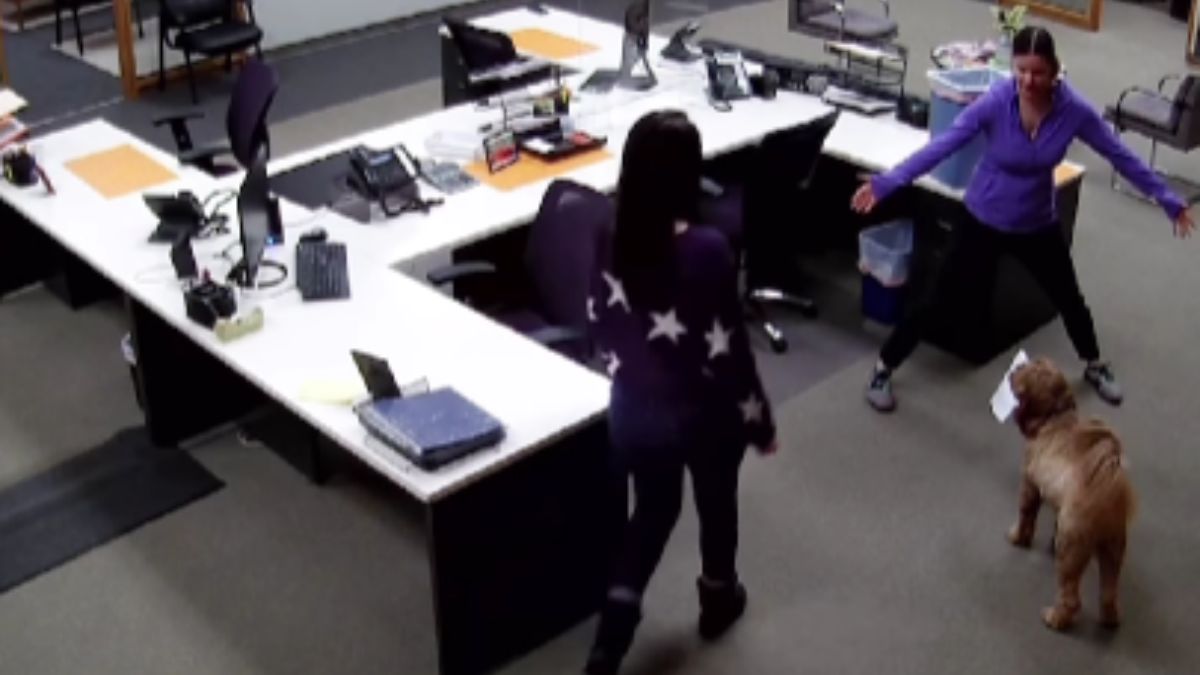 Bringing Your Dog to Work Leads to an Unexpected Workout for Employees