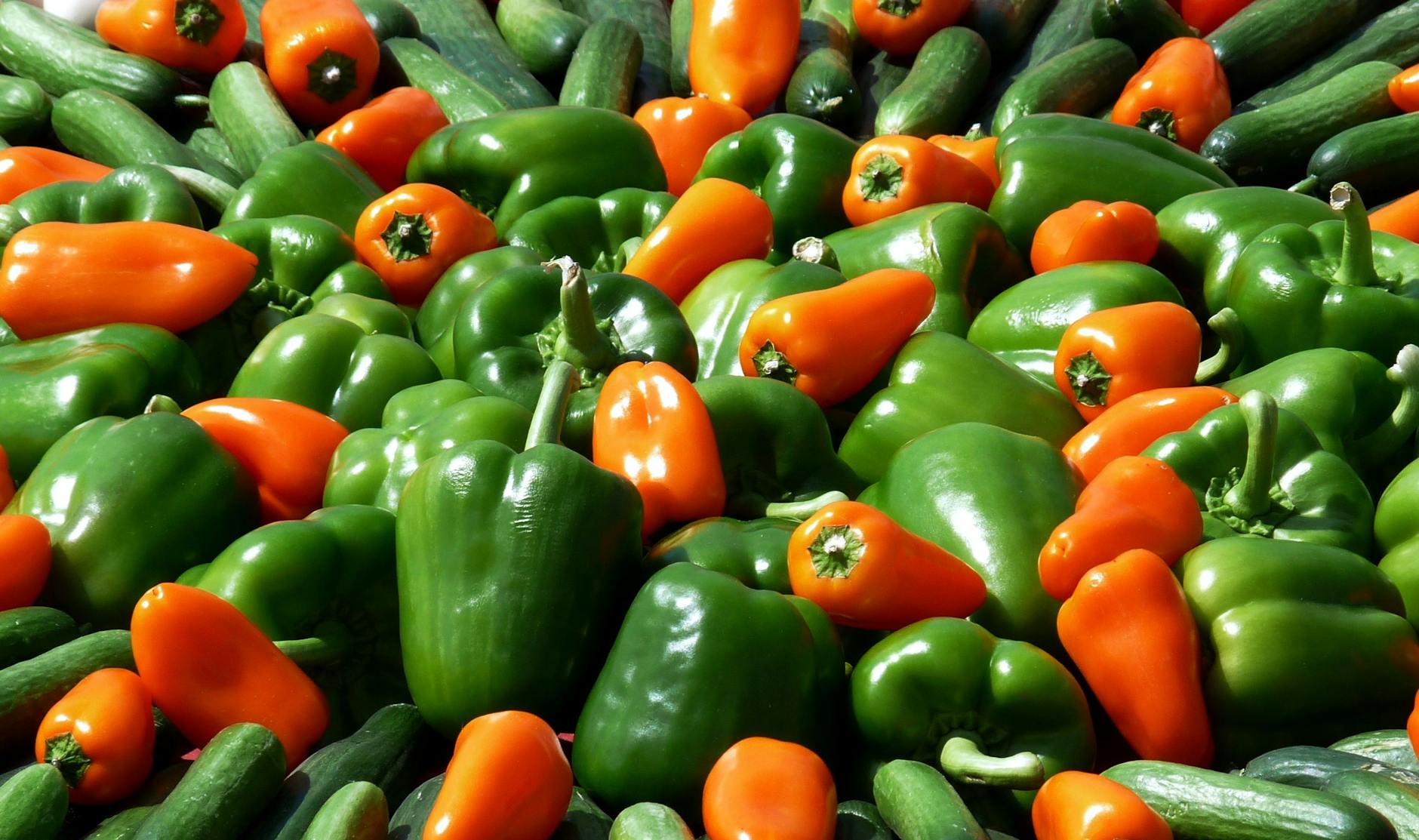 Bell Peppers Nutrition Antioxidants