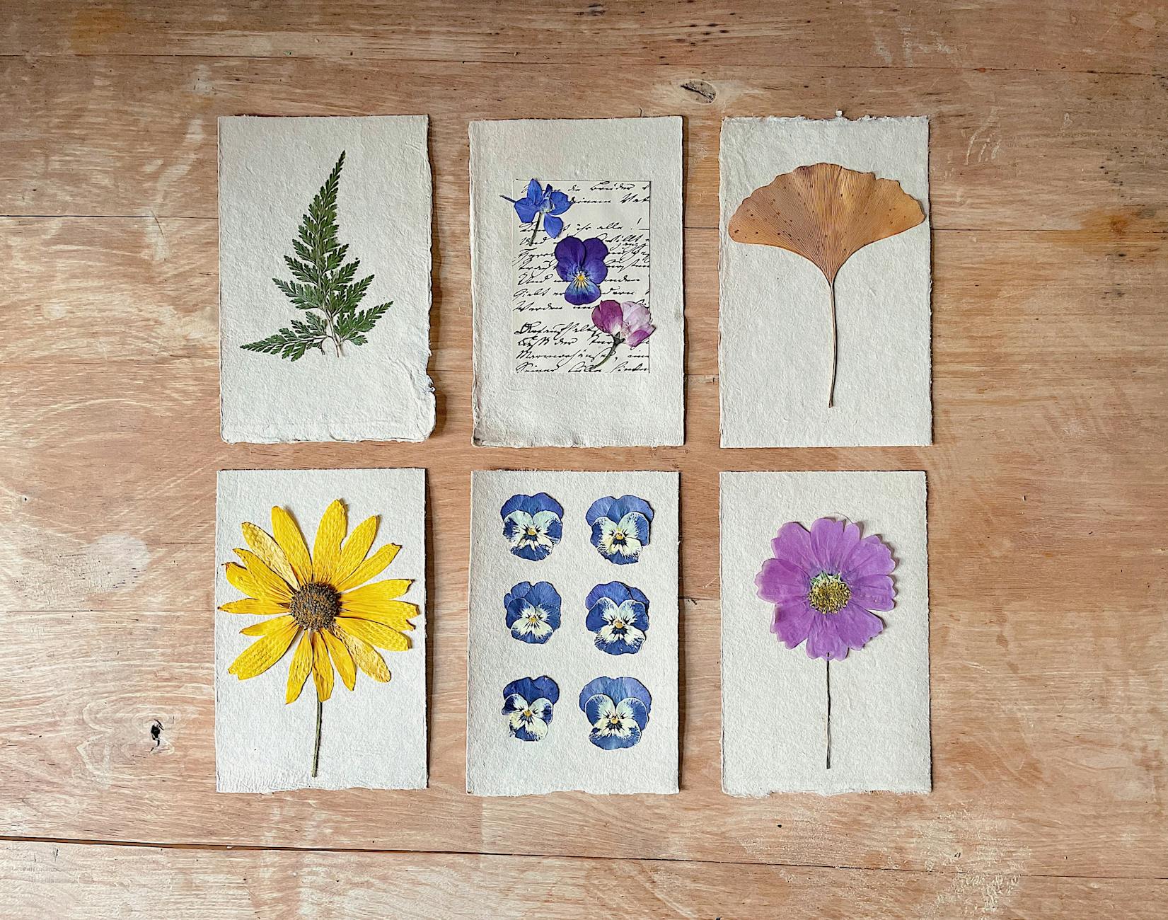 Pressed Flower Frames DIY Home Decor