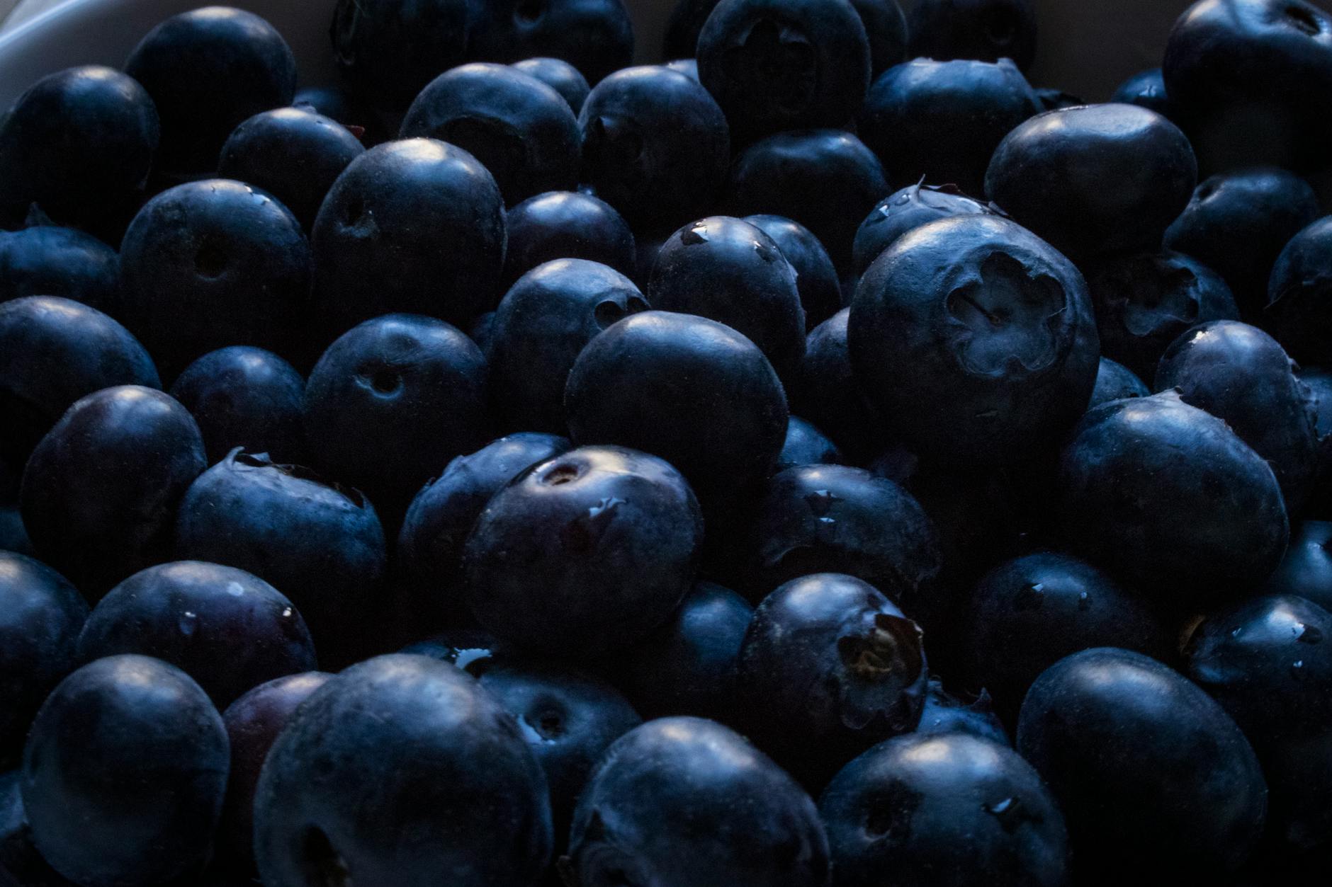 Blueberries Brain Health Cognitive Function Antioxidants