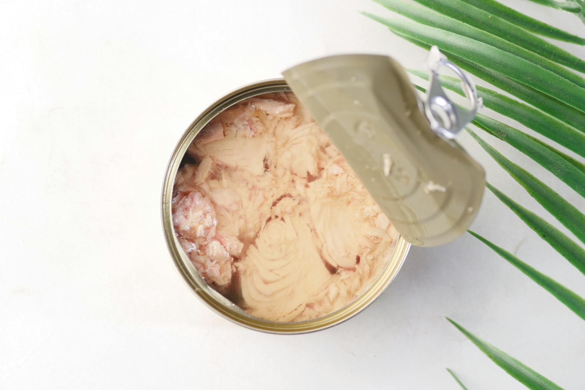 Canned Tuna Healthy Snacks