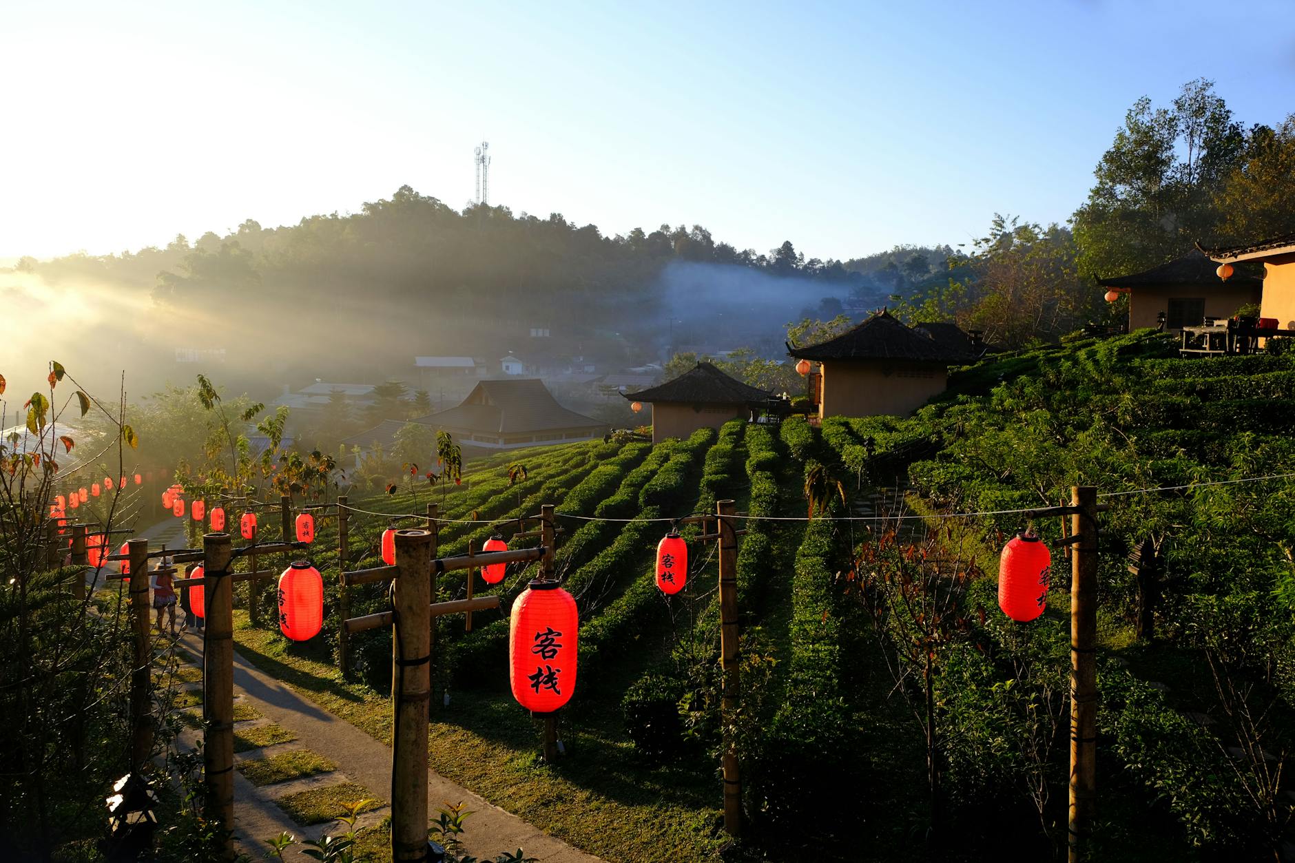 Ban Rak Thai Village Thailand Tea Plantations Yunnanese Architecture Morning Mist