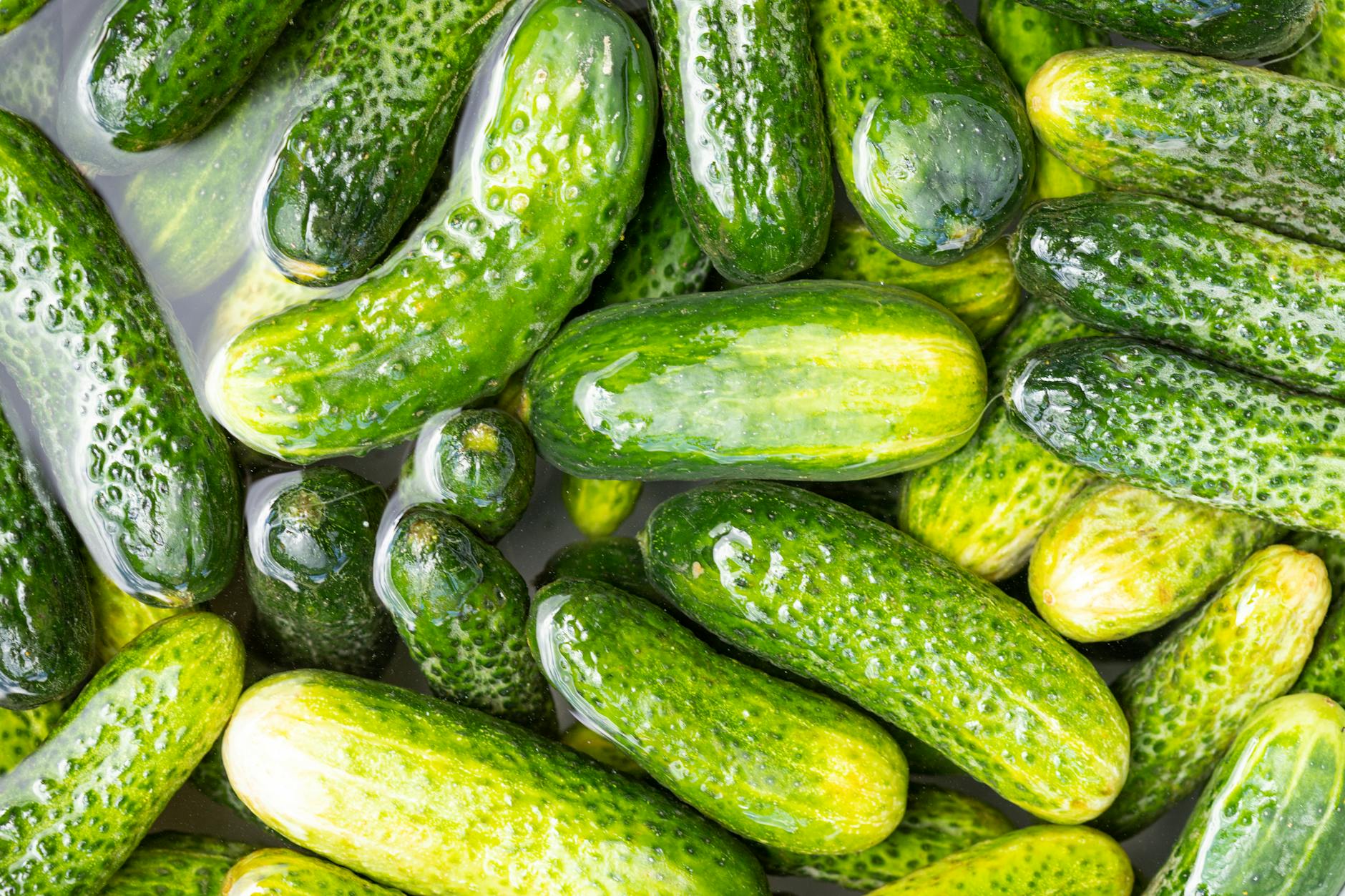 Whole Cucumbers Food
