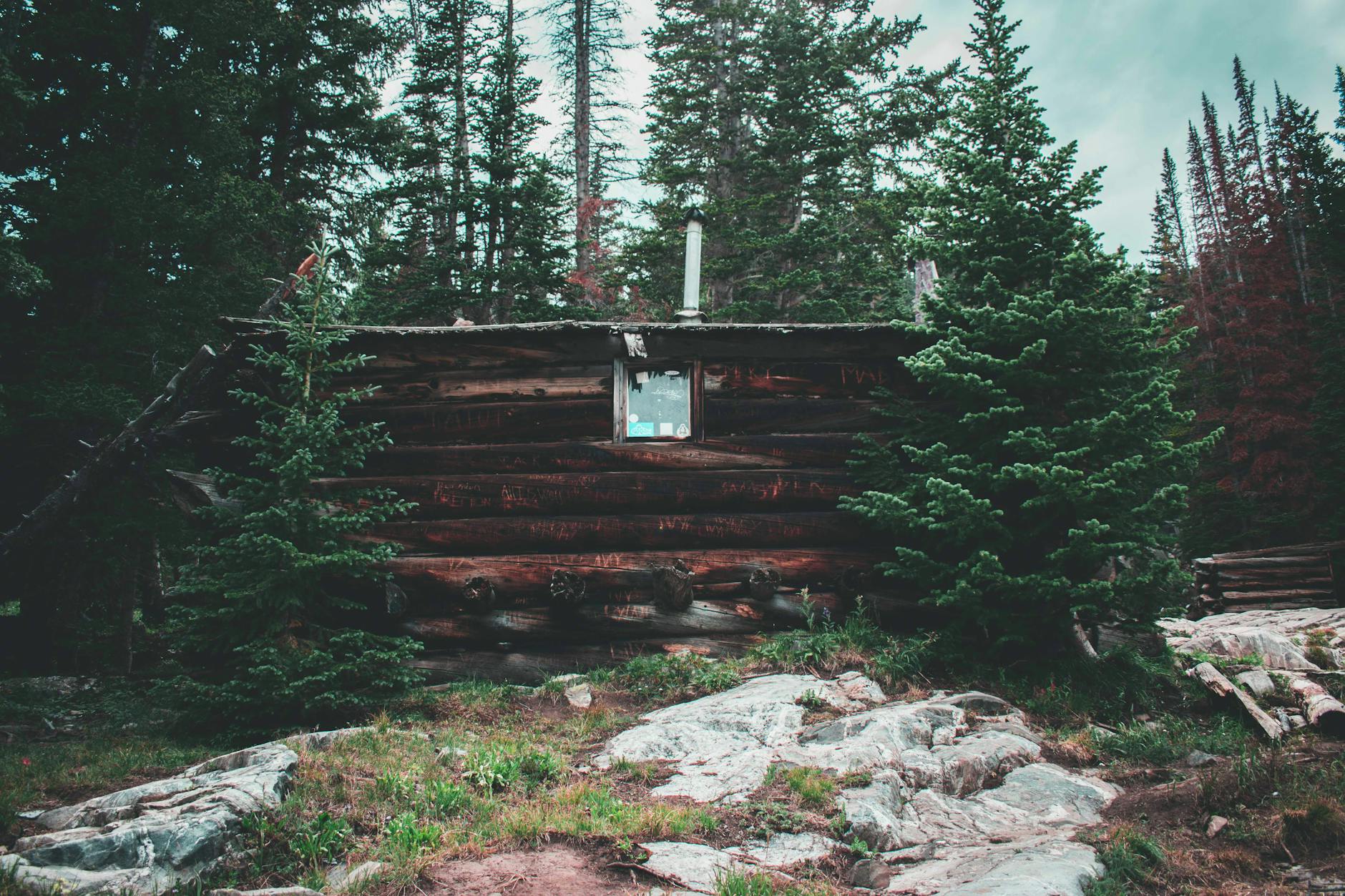 Escapism Burnout Remote Cabin Daydreaming